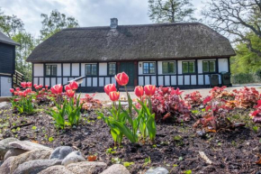 Awesome Home In Ebeltoft With 3 Bedrooms And Internet, Ebeltoft